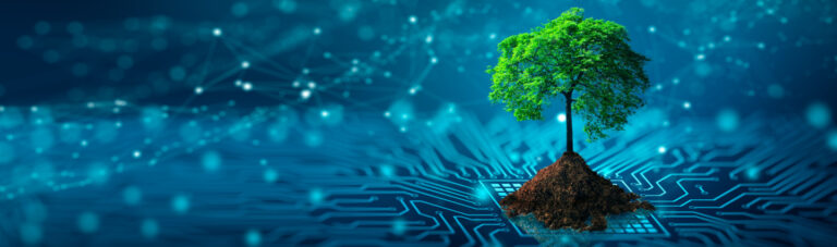 The Growing Role of Sustainability Operations in Enterprise