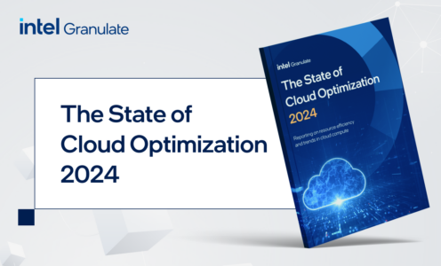 The State of Cloud Optimization 2024