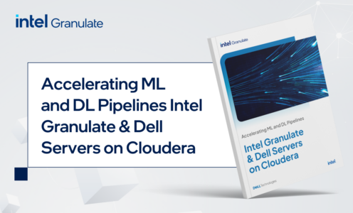 Intel Granulate & Dell Servers on Cloudera